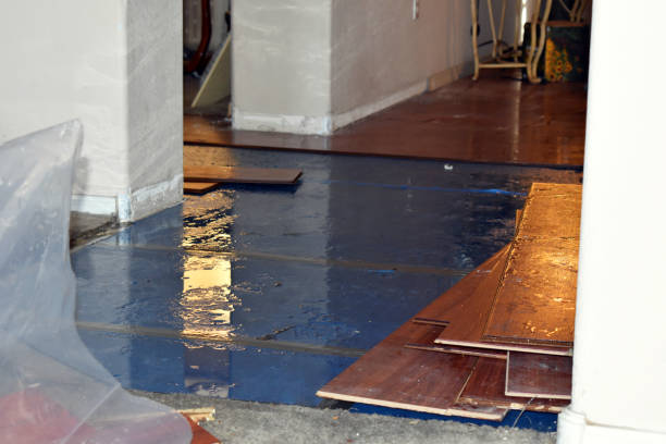 Professional Flood Damage Repair technician working in Elmwood, WI